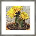 Cactus Flower #1 Framed Print