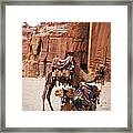 Camels Framed Print
