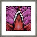 Clown #2 Framed Print