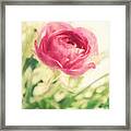 Flower #2 Framed Print