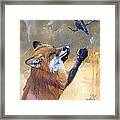 Fox Dances For Hummingbird Framed Print