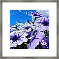 Glorious Morning #2 Framed Print