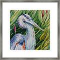 Great Blue Heron #1 Framed Print