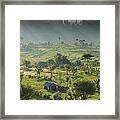 Indonesia, Bali, Rice Fields And #2 Framed Print