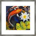 Koi Fish And Water Lily Framed Print