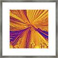 Light Micrograph Of Citric Acid Crystals #2 Framed Print