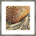 Loaf Of Multigrain Bread 2 Framed Print