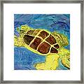 Loggerhead Freed Framed Print