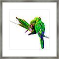 Love Birds #2 Framed Print