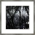 Midnight Moon #2 Framed Print