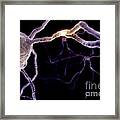 Neurons #2 Framed Print