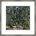 Olive Branch Framed Print