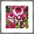 Orchids #2 Framed Print