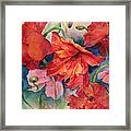 Oriental Poppies Framed Print