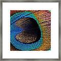 Peacock Feather #2 Framed Print