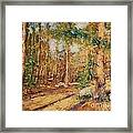 Pine Forest #2 Framed Print