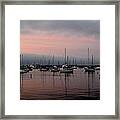 Pink Reflections #1 Framed Print
