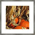 Pumpkin Harvest #2 Framed Print