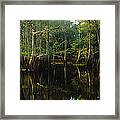 Reflection Of Trees In Water #2 Framed Print