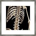 Spine #2 Framed Print