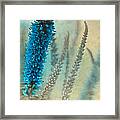 Wild And Free #2 Framed Print