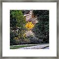 Yellow Tree #2 Framed Print