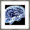 Brain Framed Print