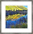 Red Mountain Pass Fall Colors #8 Framed Print