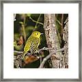 Yellow Warbler #21 Framed Print
