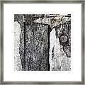 Wood On The Wall Framed Print