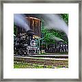 Cass Scenic Railroad #22 Framed Print