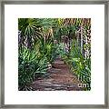 24- Everglades Trail Framed Print