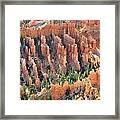 Bryce Canyon #45 Framed Print