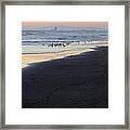 Beach Sunset Ormond Beach #3 Framed Print