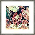 Caladiums #3 Framed Print