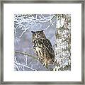 Eagle Owl #1 Framed Print