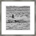 Enjoying The Water In The Coral Reef Lagoon #3 Framed Print