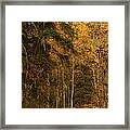 Fall At Sheep Creek #3 Framed Print