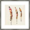 3 Feathers Framed Print