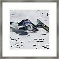 Fis Nordic World Cup - Four Hills Tournament #3 Framed Print