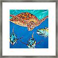 Green Sea Turtle #5 Framed Print