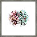 Haemoglobin Molecule #3 Framed Print