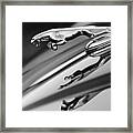 Jaguar Hood Ornament #3 Framed Print