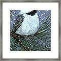Let It Snow Chickadee #3 Framed Print