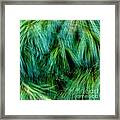 Meditations On Movement In Nature #4 Framed Print