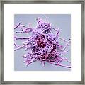 Mycoplasma Pneumoniae #3 Framed Print