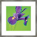 Organic #3 Framed Print