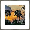 Palmetto Sunset Framed Print