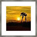 3 Palms Sunset Framed Print