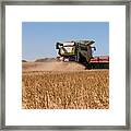 Rapeseed Harvesting #3 Framed Print